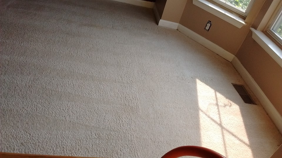 carpet cleaning service montgomery county md